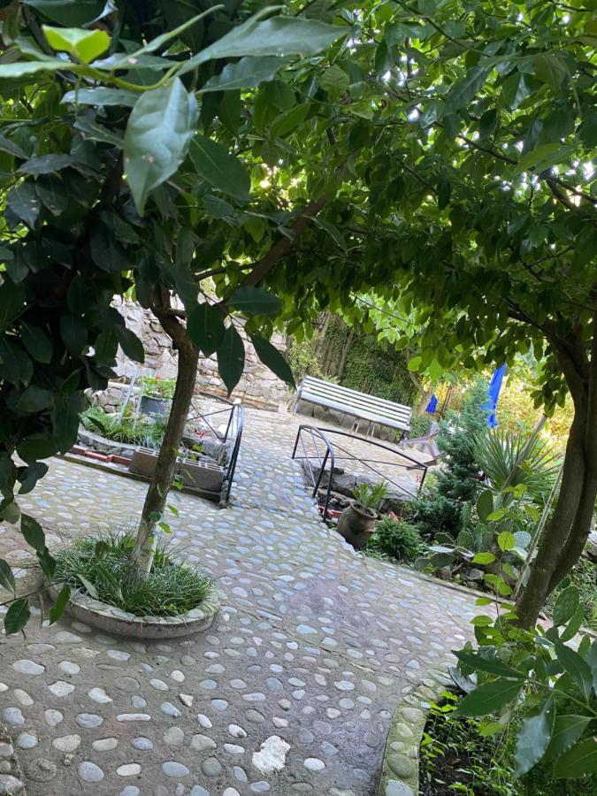 Holiday House Chkonia Hotel Батуми Екстериор снимка