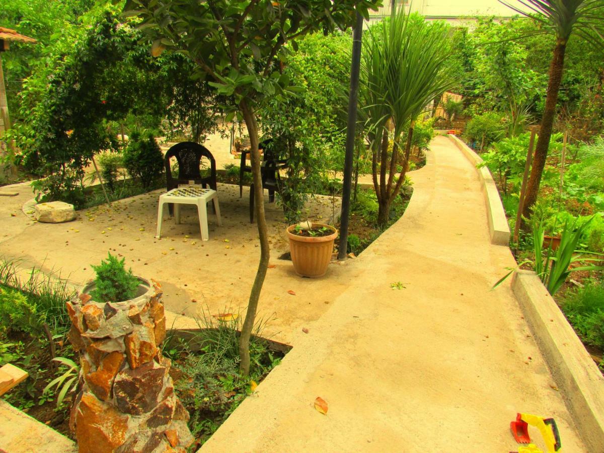 Holiday House Chkonia Hotel Батуми Екстериор снимка