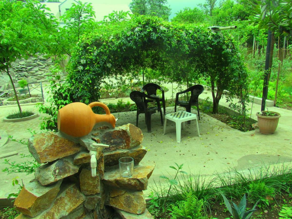 Holiday House Chkonia Hotel Батуми Екстериор снимка
