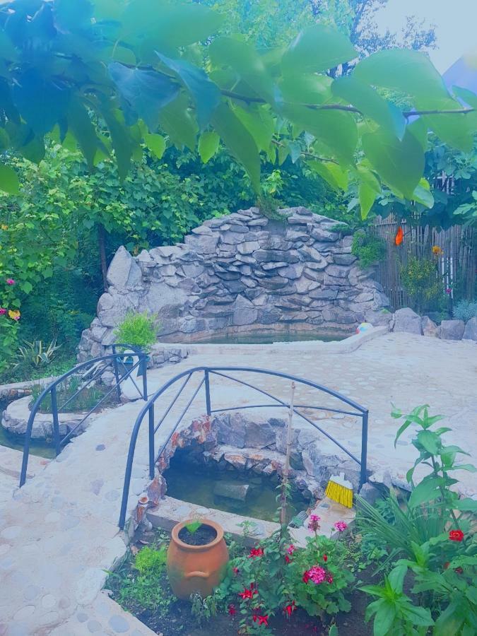 Holiday House Chkonia Hotel Батуми Екстериор снимка