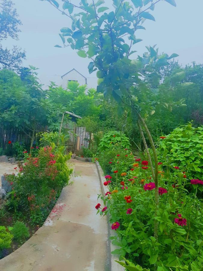 Holiday House Chkonia Hotel Батуми Екстериор снимка